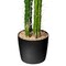 Vickerman 46" Artificial Green Cactus, Black Plastic Planters Pot.